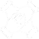 hands